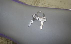 YAMAHA TT250R RAID 2024 4GY