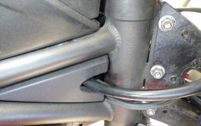 OTHER +ﾒｶﾞﾘ250R