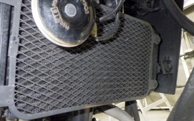 SUZUKI Vｽﾄﾛｰﾑ250