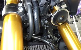 YAMAHA MT-09 SP 2022 RN69J