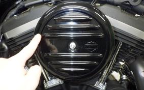 HARLEY XL883N 2021