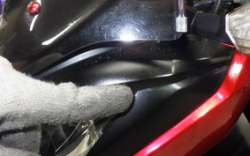 KAWASAKI Z250 ER250C