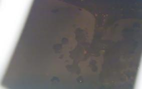 KAWASAKI NINJA 250 SL BX250A