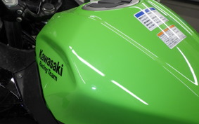 KAWASAKI NINJA 400 2021 EX400G