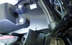 YAMAHA XSR155 2007