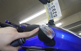 SUZUKI GSX250R 2016