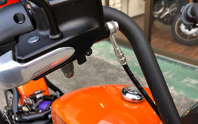 HARLEY FXBBS 2021 YYK