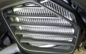 YAMAHA CYGNUSｸﾞﾘﾌｧｽ 2024 SEJ4J