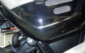 TRIUMPH SPEED TWIN 2022