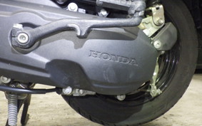 HONDA GIORNO 3 AF77