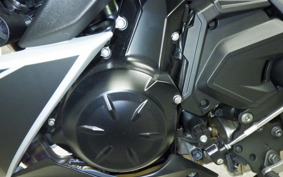 KAWASAKI NINJA 650 A 2025 ER650S