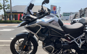 TRIUMPH TIGER 1200GT PRO 2023 TAP22V