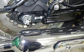 KAWASAKI W800 2024 EJ800E