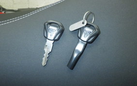 TRIUMPH TIGER 900 GT PRO