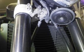 YAMAHA FZ1 FAZER 2008 RN21J