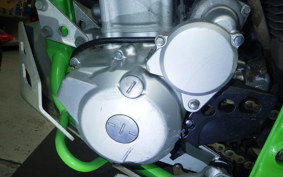KAWASAKI KLX250 Gen.2 LX250S