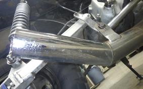 HONDA GORILLA 2021 Z50J