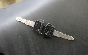 SUZUKI GOOSE 250 NJ46A