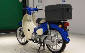 HONDA C110 SUPER CUB