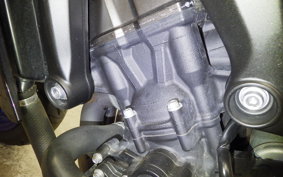 YAMAHA MT-09 ASP 2019 RN52J