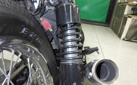 KAWASAKI 250TR 2018 BJ250F