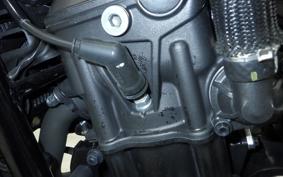HONDA REBEL 1100 2024 SC83