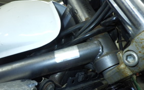 KAWASAKI BALIUS 250