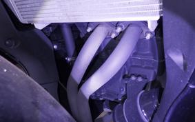 YAMAHA YZF-R25 A RG43J