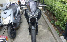 KAWASAKI Z250 ER250C