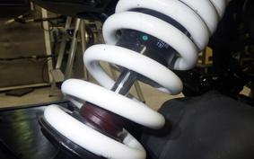 HUSQVARNA SVARTPILEN 250