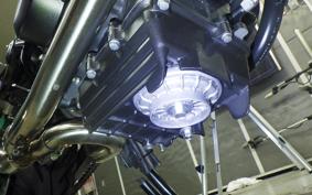 HONDA VTR 250 Gen. 2 MC33
