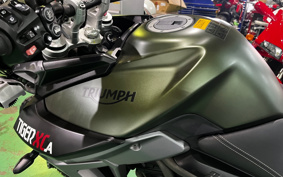 TRIUMPH  TRIUMPH  TIGER 800XCA 2018 TRE18B