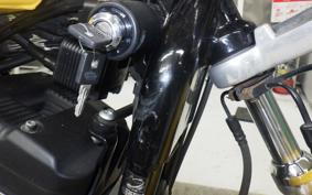 OTHER +HD. XL1200R 2006