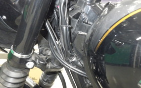 KAWASAKI W800 2012 EJ800A