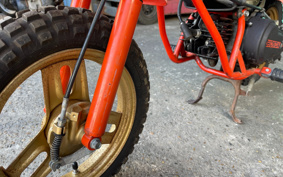 HONDA QR50 AE01