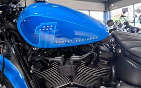 HARLEY FXBBS 2022 YYK