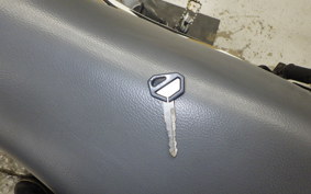 KAWASAKI SUPER SHERPA KL250G