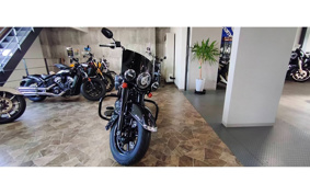 HARLEY FLHCS 2022 YBK
