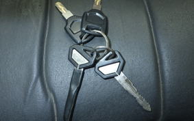 KAWASAKI KLX250D TRACKER X 2025 LX250V