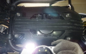 BMW G310GS 2021
