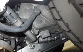 HONDA GYRO X 2025 TD02