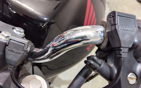HONDA HORNET250 MC31