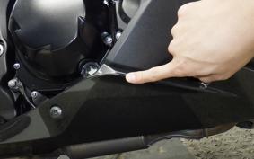 KAWASAKI NINJA 1000SX 2020 ZXT02K