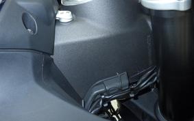 DUCATI PANIGALE V2 2021