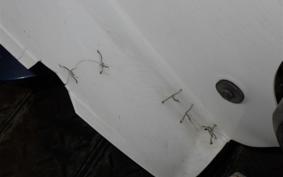 HONDA C90 SUPER CUB E HA02