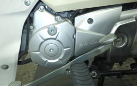 HONDA C110 SUPER CUB 2013 JA10