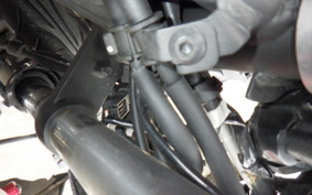 KAWASAKI NINJA 250 2008 EX250P