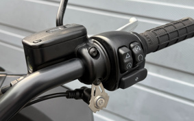HARLEY FXLRST 2024 YXZ