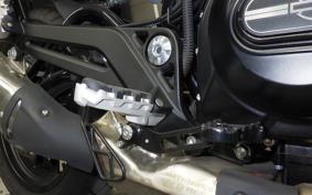 HARLEY X500 2024