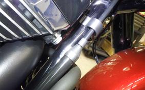 HARLEY FLTRX1920 2026